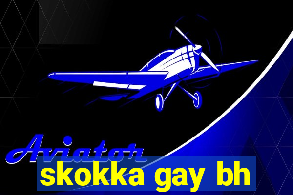 skokka gay bh