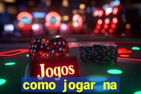 como jogar na lotinha do jogo do bicho