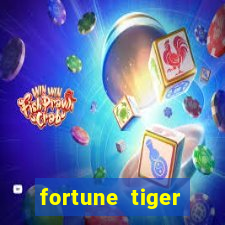 fortune tiger plataforma nova