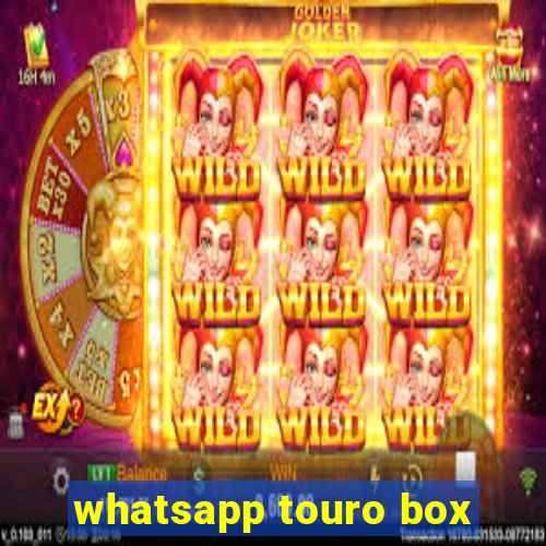 whatsapp touro box