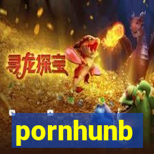 pornhunb