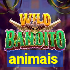 animais-pg.com