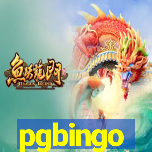 pgbingo