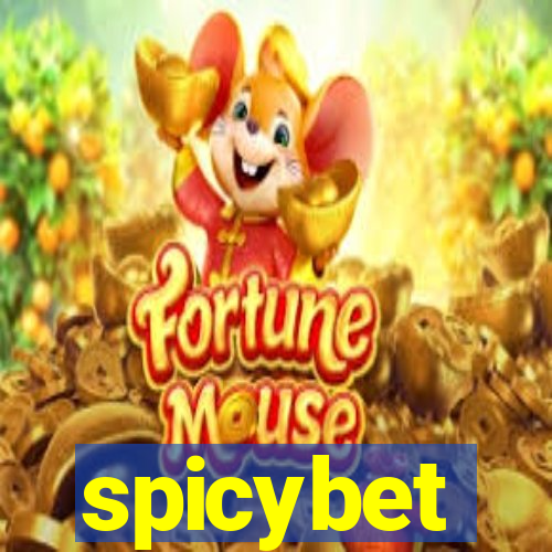 spicybet-2.com