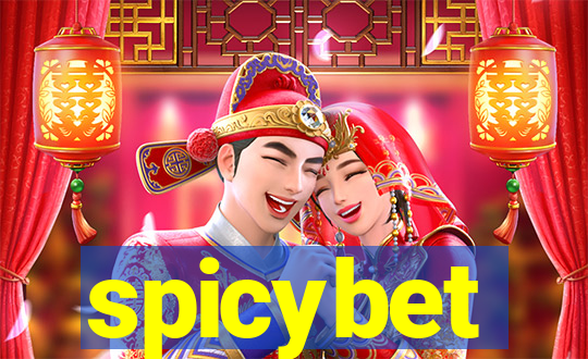 spicybet-2.com