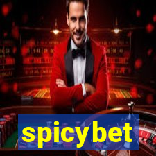 spicybet-2.com